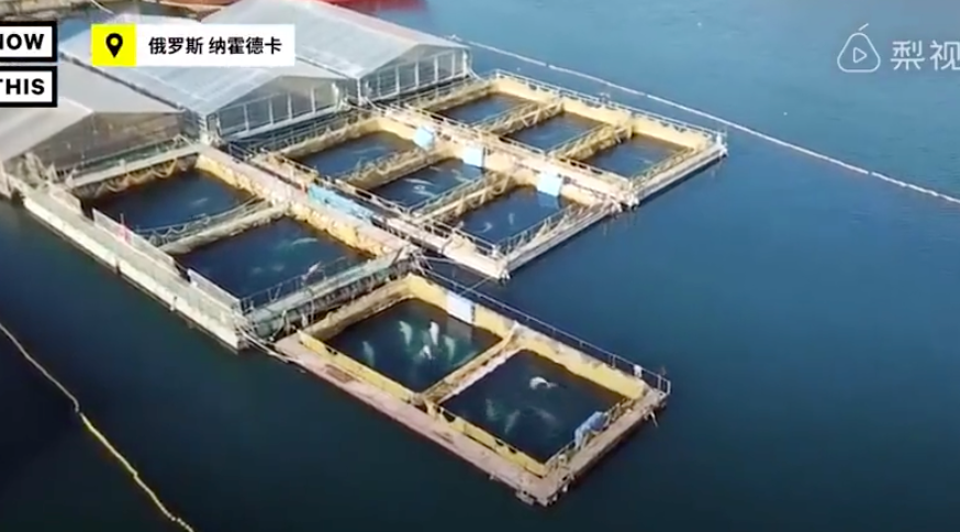 ���ڶ���˹������Ű������Щ�ꡭ��