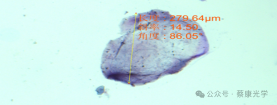 299dc7de59044e5ad3082530aa48c50