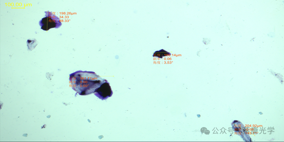 39bef6f295dde0b6b7956bd802de405