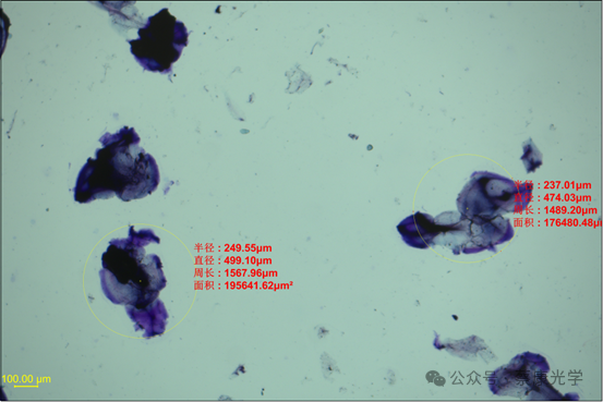 15db69b2750d9e7d2779f3d6a7d8911