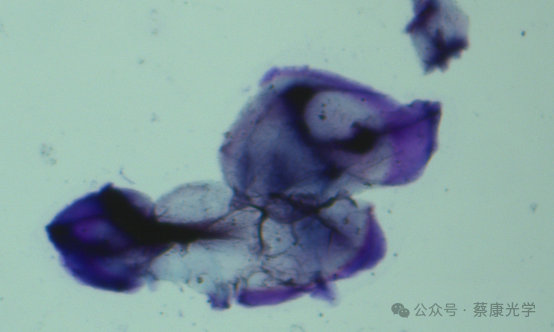 503dcb82bfde67f73d96faf2a2b1701