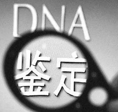 妇幼保健院医院可以做亲子鉴定吗？