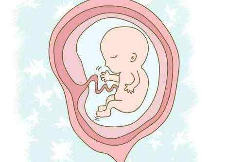 哪些胎儿dna检测可以做？