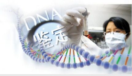 司法DNA鉴定什么机构能做?