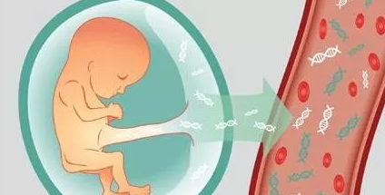 广州正规胎儿亲子鉴定机构