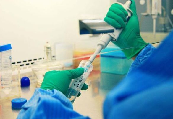 做亲子鉴定需要提供什么材料？