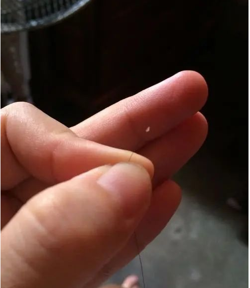 毛发做亲子鉴定准确吗？看着里!