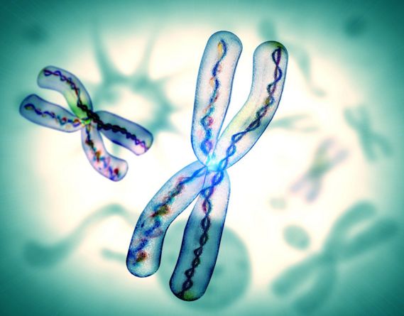 父母们需要了解亲子鉴定需要注意的事项