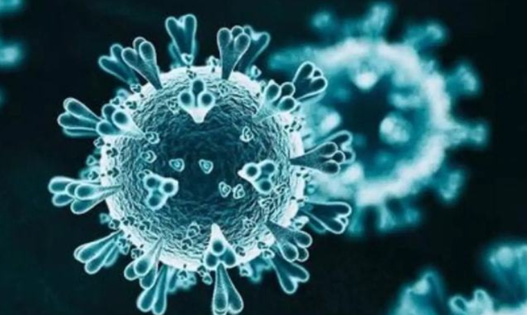 指夹式血氧仪怎么夹元旦献礼｜指夹式血氧仪上市热售，居家常备更安心_https://www.jmylbn.com_新闻资讯_第3张