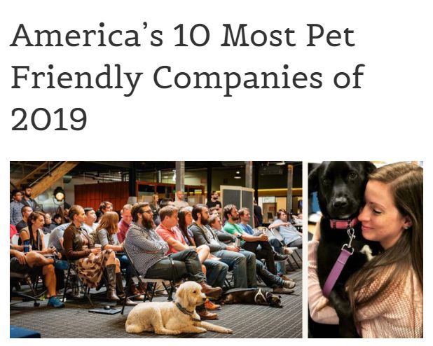 全美10大宠物友好公司排名 边上班边吸猫撸狗