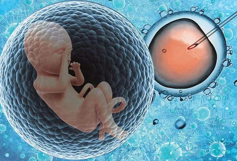 养囊三天成功率多少_养囊三天看卵子五天看精子_养囊三天和五天的区别