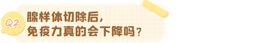 腺样体_10.png