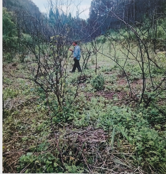 贵州开阳法院：这个“乡村法官”真不赖，接地气！
