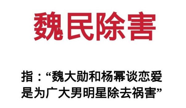 「離過婚的楊冪，怎麼配得上魏大勛」 情感 第5張