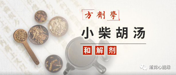 实践医学｜道家隐士服小柴胡汤后的内视观察日记