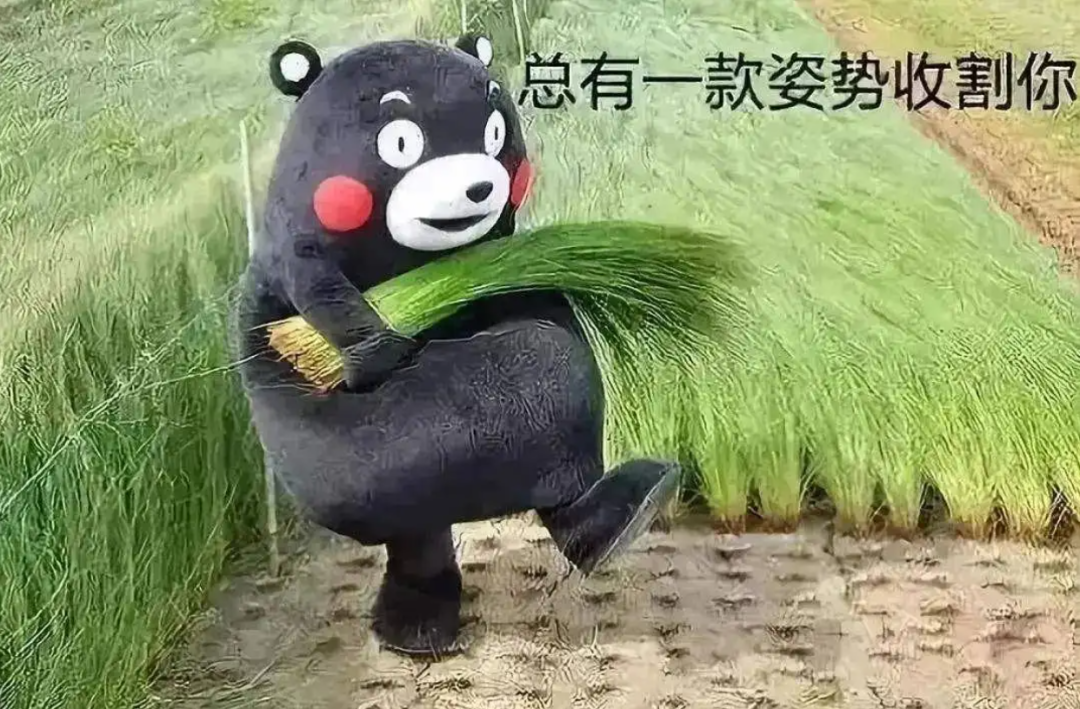 骗局！Web3.0割韭菜，比币圈更狠…