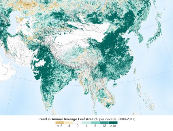 NASA：中國居然建了1/4個亞馬遜雨林？！網友：那是我偷來的螞蟻森林？ 科技 第4張