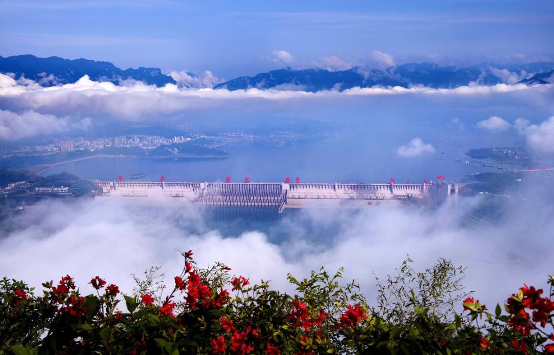 白鲟灭绝，为什么有人要炸掉三峡大坝？（组图） - 28