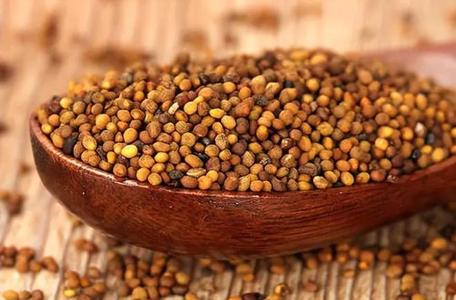 海什么止血这味来自大海的良药，可治崩漏带下、外伤出血、湿疹脚藓，还是胃溃疡的克星！_https://www.jmylbn.com_新闻资讯_第10张