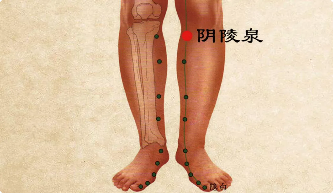 把握春分这15天,做好3件事,疏肝气,健脾胃,阴阳调和百病消!(图19) 图片