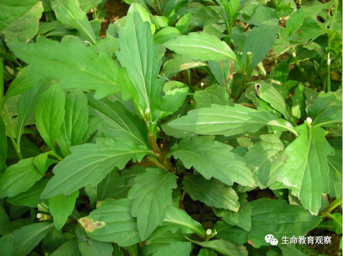 朱敬东名师工作室