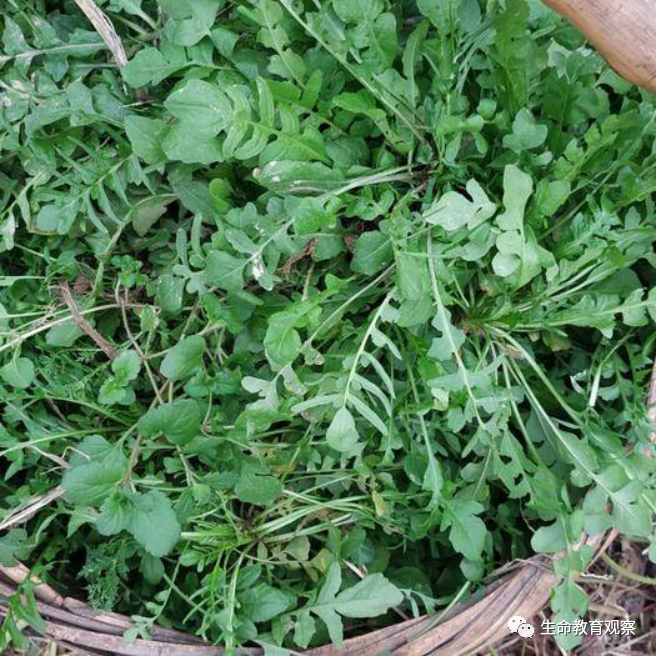 朱敬东名师工作室