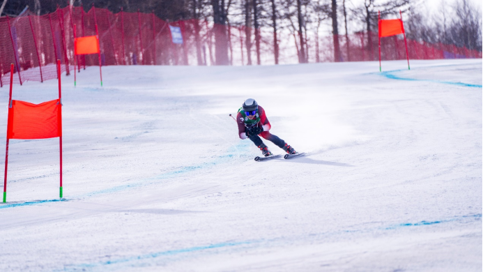 全国高山滑雪锦标赛图片