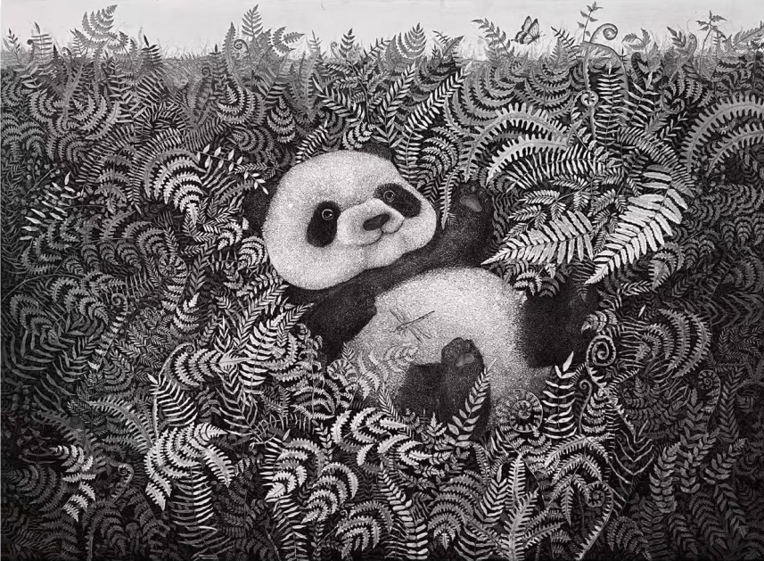 图片