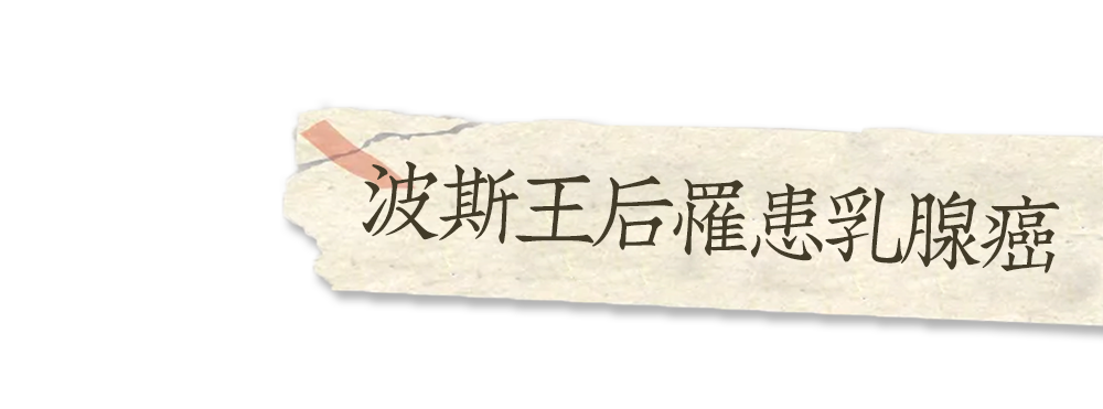 乳腺定位针怎么放读乳腺手术史能治好精神内耗？_https://www.jmylbn.com_新闻资讯_第3张