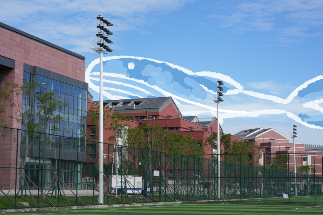 成都体育学院2024年保送录取优秀运动员招生简章-高考直通车