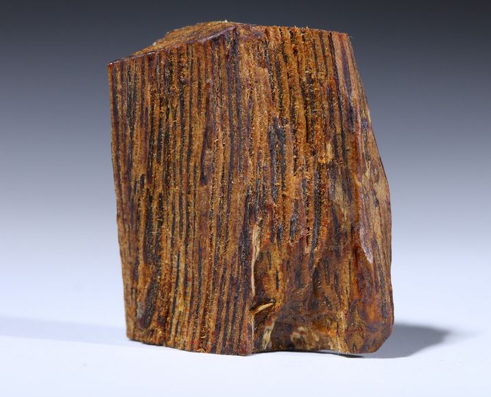 这个可以与古典音乐相得益彰的小嗜好你不了解下