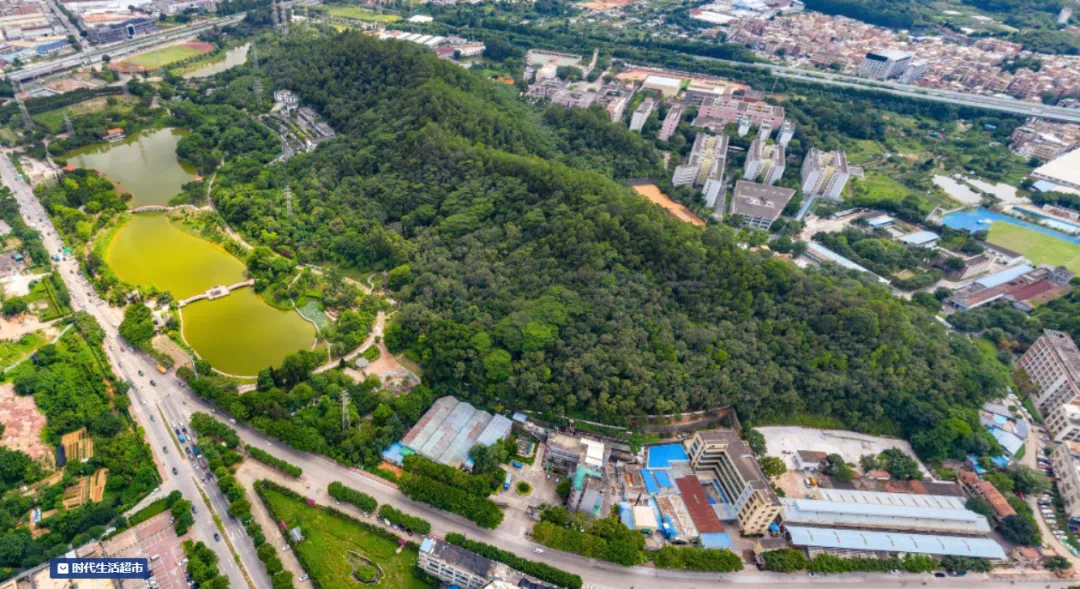 番禺越秀大学星汇锦城*推76㎡~ 98㎡，值不值得买？