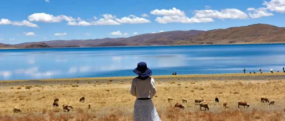 人生看似漫长，其实只有5天！