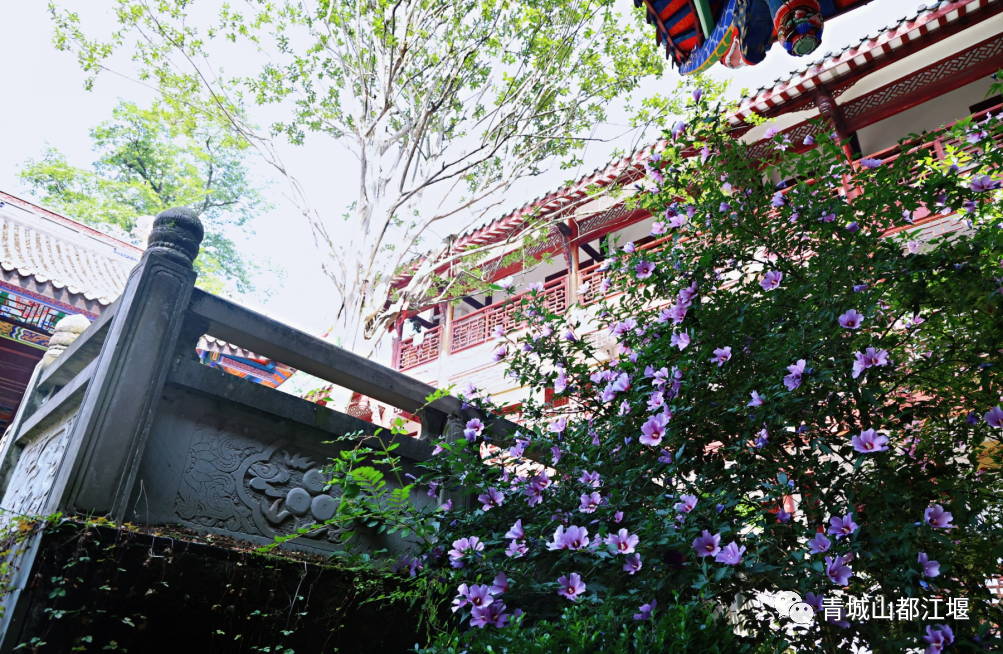 都江堰玉垒山门票_都江堰玉垒山_玉垒山