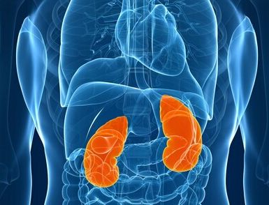 观念治疗：不要把医院当靠山 养生保健是根本