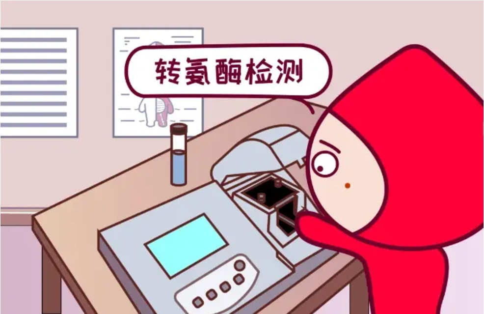 肝功五项化验单怎么看