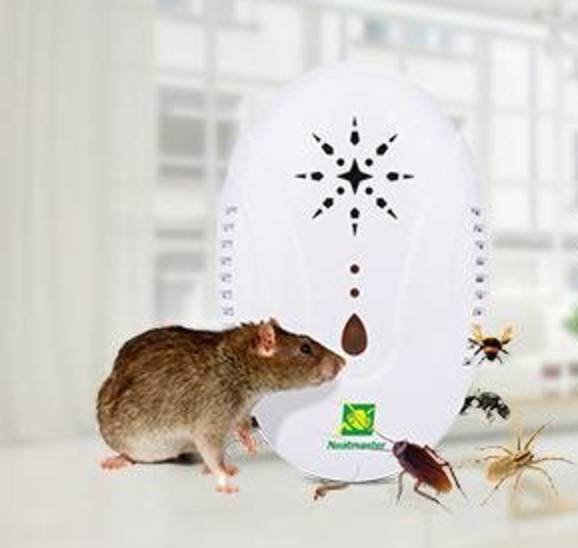 买黄金买足金还是硬金_金皮苹果在哪买_买苹果7plus还是苹果8