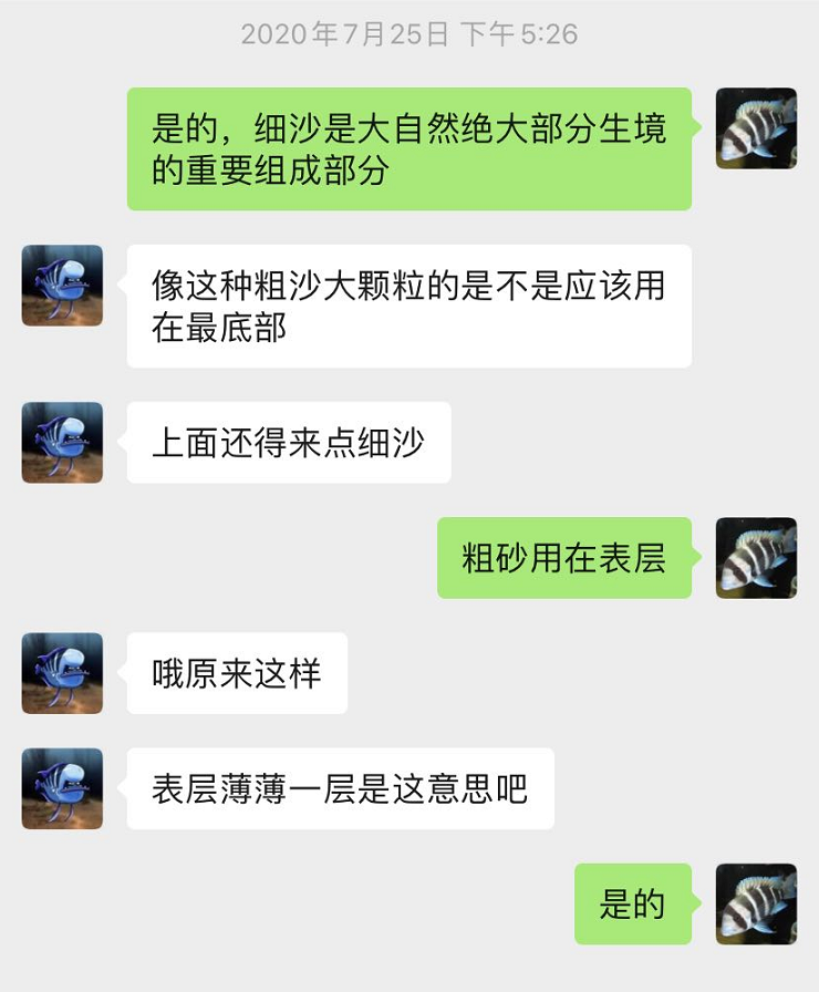 爱养鱼