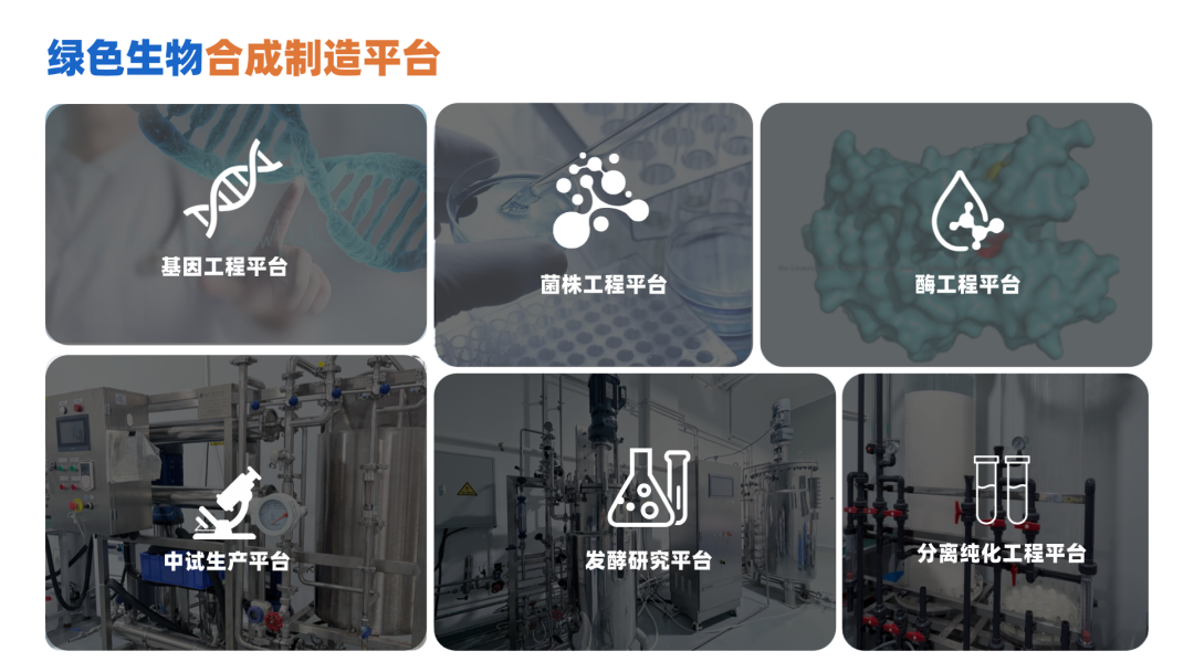 希吉亚生物 Zymevolver 绿色生物合成制造技术平台