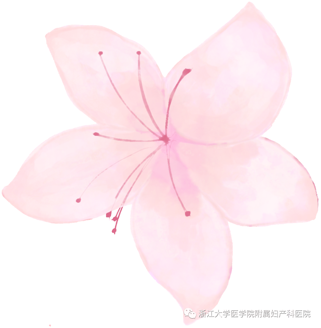 眼科ab超单怎么看产检B超单怎么看？还有浙大妇院“四步触诊”全攻略来啦！_https://www.jmylbn.com_新闻资讯_第11张