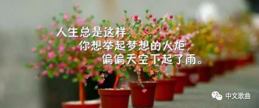 把孤独当做晚餐什么歌