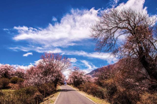 [好消息] 今日起遊客們可以進藏，無需隔離！ 旅遊 第26張