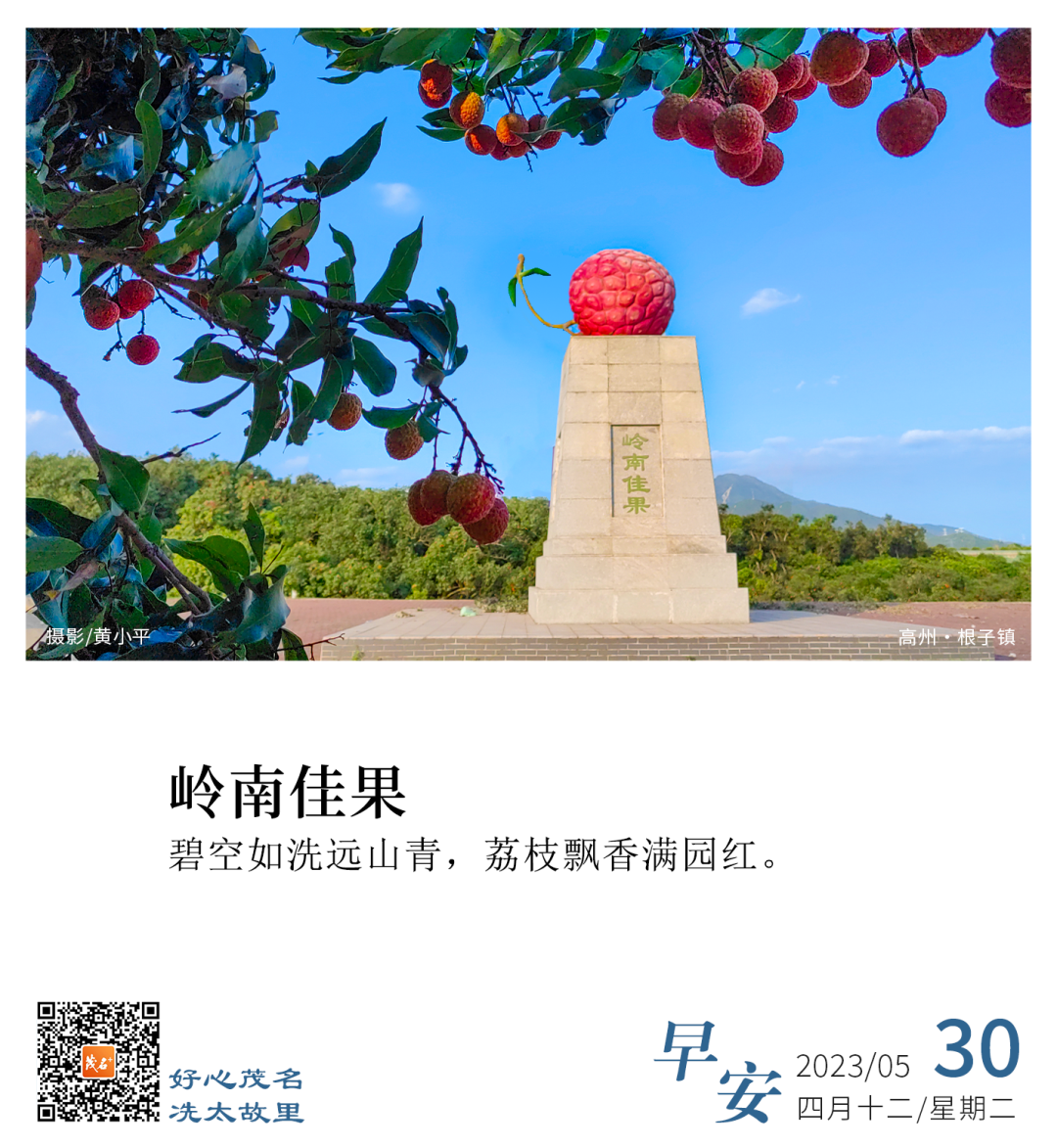 好心茂名61每日一图岭南佳果