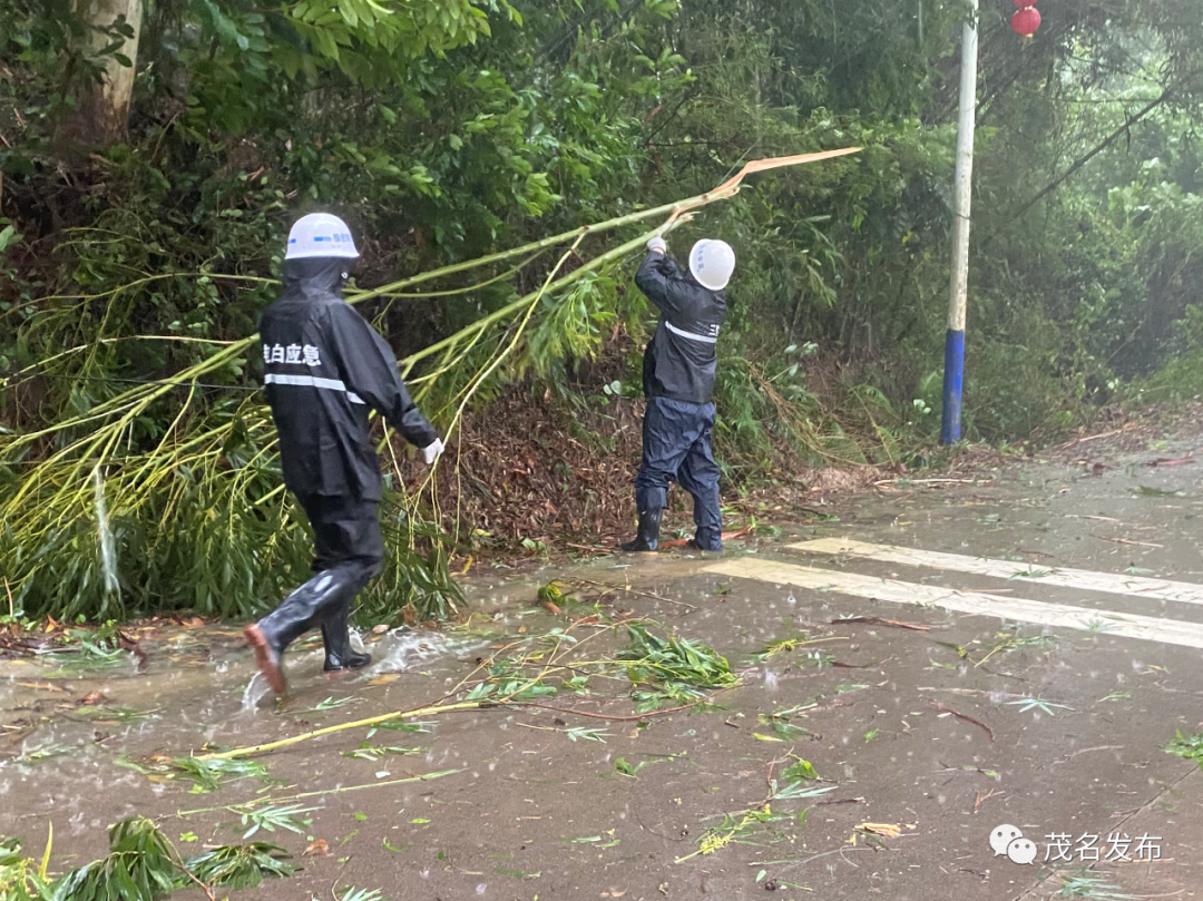 以上图片为望夫镇应急队在清理主要道路倒塌的树干。