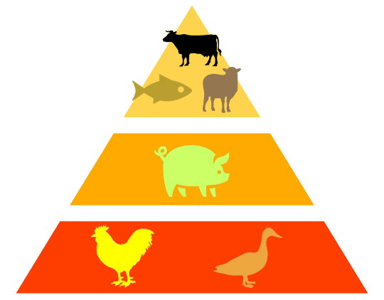 肉香是因为什么原因_肉香是什么香_香肉是什么肉