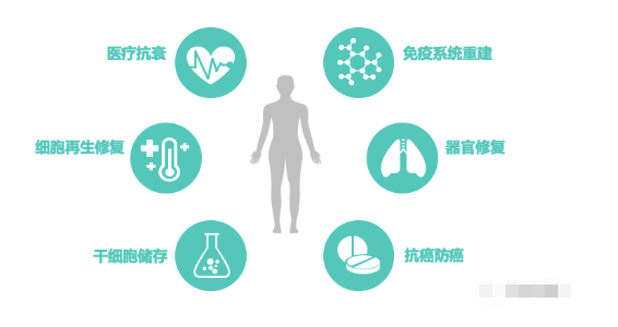 为什么说干细胞是再生医学的核心? 图片