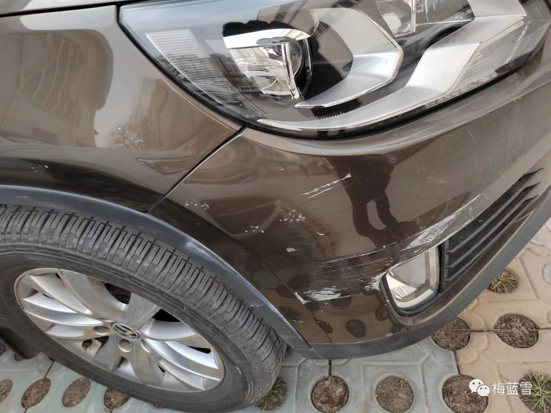 2023年02月21日 图片