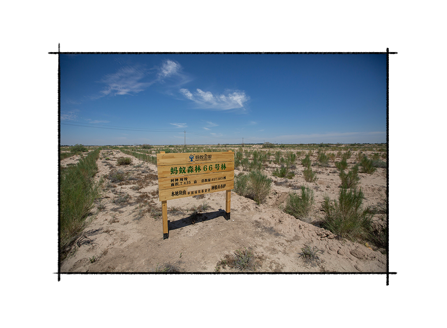 ף�㾡���ҵ��������Լ���Ϊ����衱�Ĺ�����