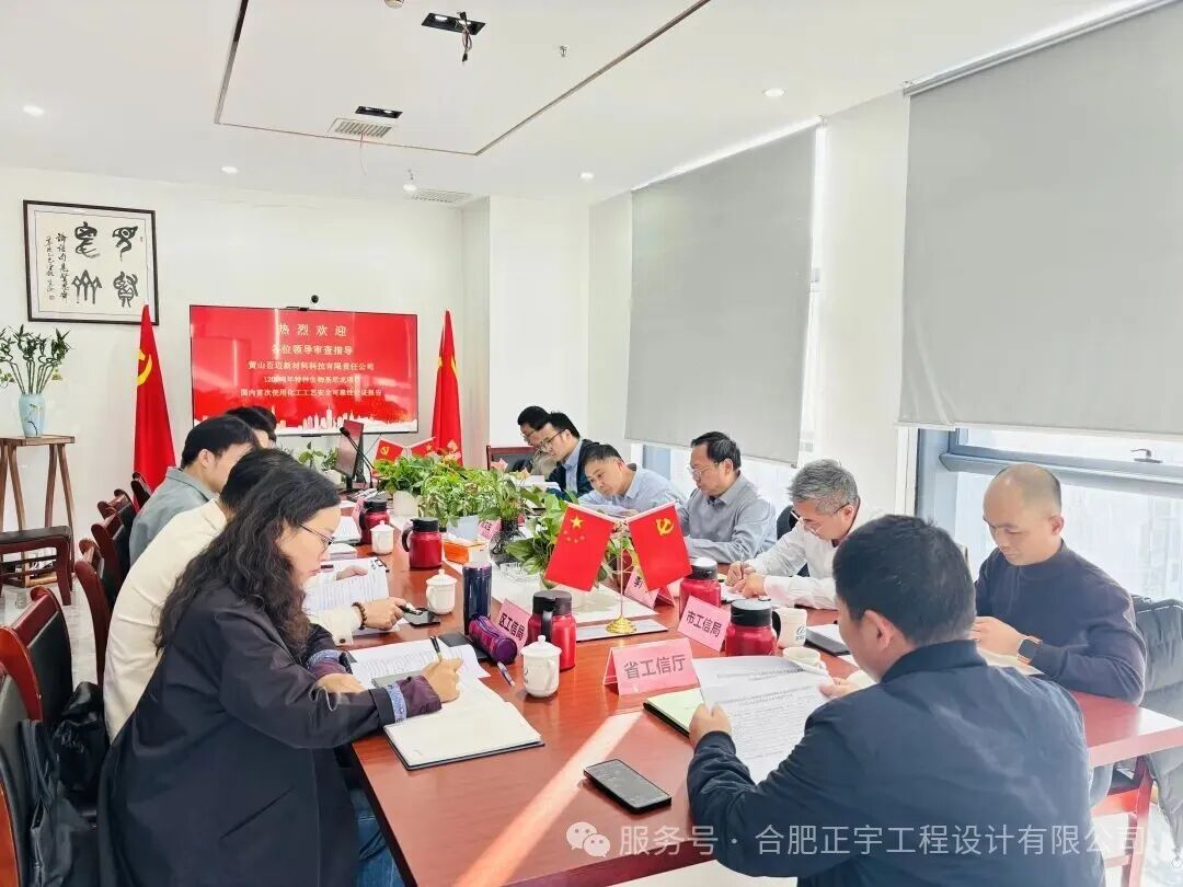 黃山百邁新材料科技有限責任公司 1200 噸/年特種生物基尼龍項目順利通過國內首次使用化工工藝安全可靠性論證會！