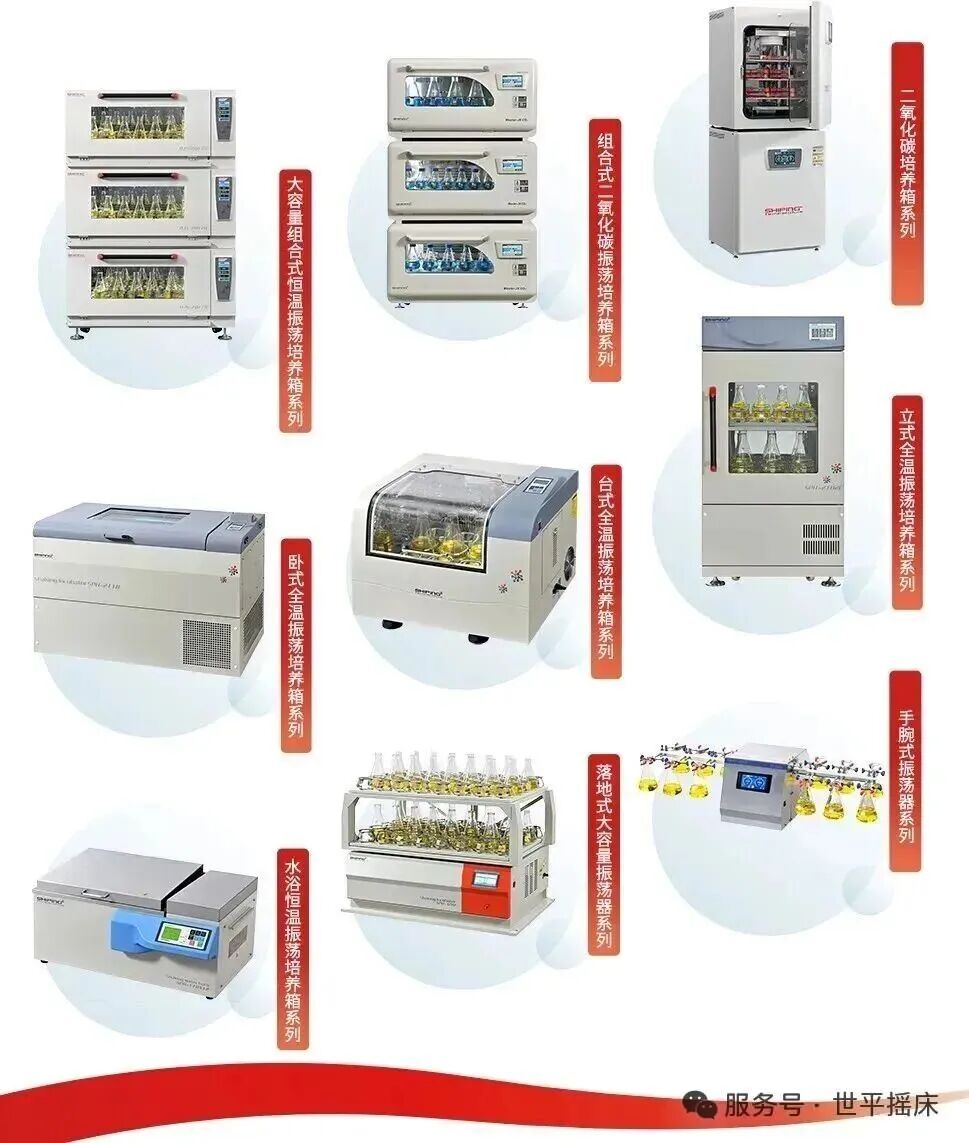 2026祝您好运“马